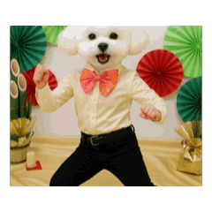 [LINEスタンプ] 波乗りトイプー