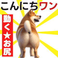 [LINEスタンプ] 動く▶️犬★お尻がいっぱい‼癒しのおしり