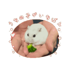 [LINEスタンプ] りんりんのハムスタースタンプ