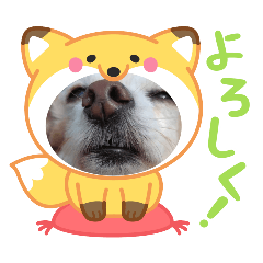 [LINEスタンプ] 一日元気ワクワクなっちゃん15いつも使える