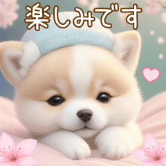 [LINEスタンプ] かわいい豆柴たち 使えるカラフルBIG 敬語