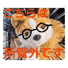 [LINEスタンプ] 周りから訴えかけてくるたたみスタンプ
