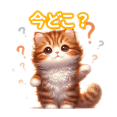 [LINEスタンプ] とにかくかわいい アメリカンカール