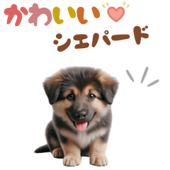 [LINEスタンプ] いつでも使えるシェパードの子犬スタンプ