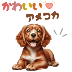 [LINEスタンプ] いつでも使えるアメコカの子犬スタンプ