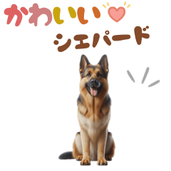 [LINEスタンプ] いつでも使えるシェパード スタンプ