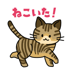 [LINEスタンプ] 猫いた！