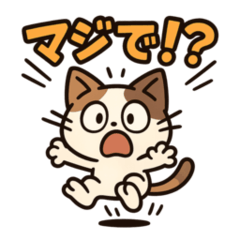 [LINEスタンプ] 日常的に使えるネコの気まぐれスタンプ