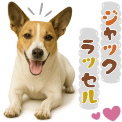[LINEスタンプ] 立ち耳！ジャックラッセルテリア