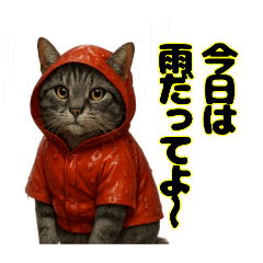 [LINEスタンプ] キジトラ みそちゃんのつぶやき（①）