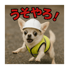 [LINEスタンプ] 現場チワワ関西弁