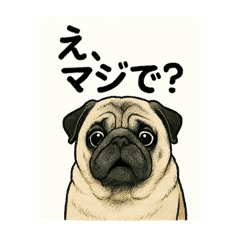 [LINEスタンプ] ウチのこむぎちゃん