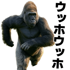[LINEスタンプ] ウッホウッホ構文