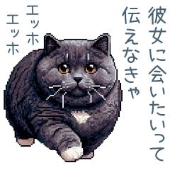 [LINEスタンプ] エッホで伝える彼氏ねこ【面白い】