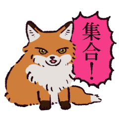 [LINEスタンプ] キタキツネです