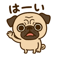 [LINEスタンプ] カワぶさいくパグくん