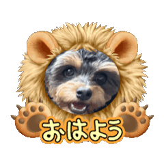 [LINEスタンプ] 石川家のマロちゃんスタンプ(その7)