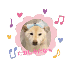 [LINEスタンプ] KONAちゃん②