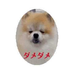[LINEスタンプ] 動くこたすた