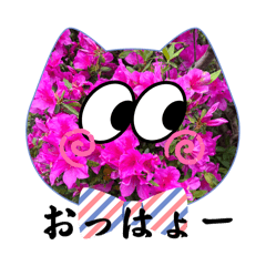 [LINEスタンプ] Flowers にゃんず