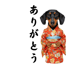 [LINEスタンプ] 世界の民族衣装を着た【ダックスフンド】