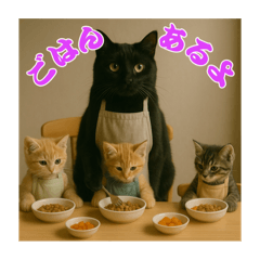 [LINEスタンプ] 黒猫ママの主婦ライフ
