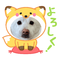 [LINEスタンプ] マシュ！