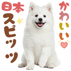 [LINEスタンプ] 日本スピッツ♡ゆるい日常スタンプ