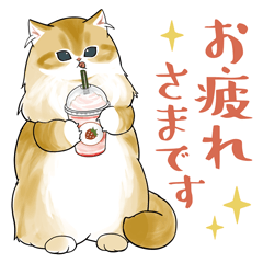 [LINEスタンプ] 長毛にゃん