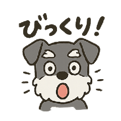 [LINEスタンプ] 渋かわシュナウザー爺さん！今日も絶好調！