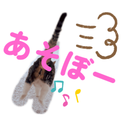 [LINEスタンプ] 愉快なCAT達2