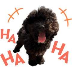 [LINEスタンプ] チョーやんちゃ犬うに君