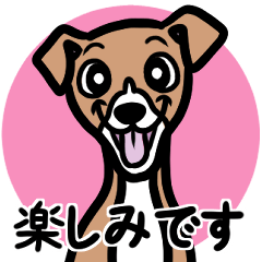 [LINEスタンプ] 【レッド2】1年中使える♡パピーイタグレ