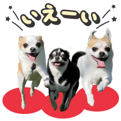 [LINEスタンプ] パン♡ペロ♡ポム♡
