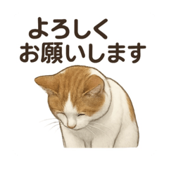 [LINEスタンプ] あおいのまる