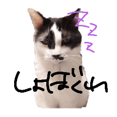 [LINEスタンプ] ちかまつが一家