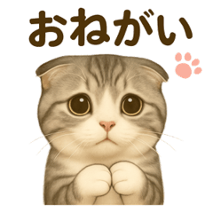 [LINEスタンプ] コロニャンコ