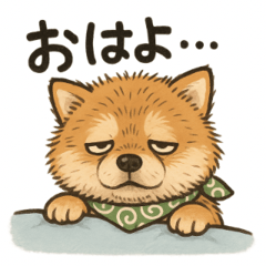 [LINEスタンプ] やさぐれ柴犬＆豆柴 - 気分スタンプの画像（メイン）