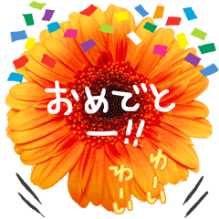 [LINEスタンプ] おめでとうセット再編集