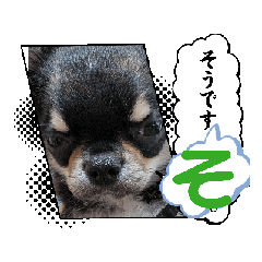 [LINEスタンプ] もみぴ01