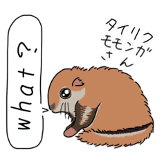 [LINEスタンプ] きゅるきゅるネズミ目日本外来生物
