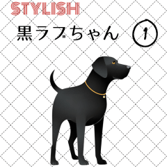 [LINEスタンプ] スタイリッシュ 黒ラブちゃんVo.1