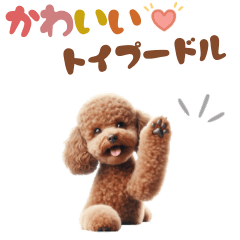 [LINEスタンプ] いつでも使えるトイプードルスタンプ