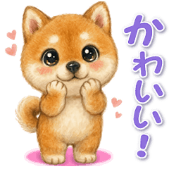 [LINEスタンプ] 動く！丁寧な柴犬