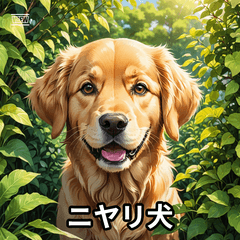 [LINEスタンプ] 心温まる犬たちのスタンプ