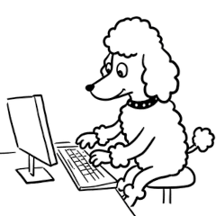 [LINEスタンプ] かわいいプードルのスタンプ(ビジネス)