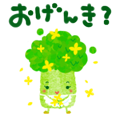 [LINEスタンプ] いつものブロッコリー奥さま