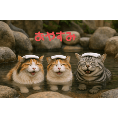 [LINEスタンプ] 3匹の猫と時々犬