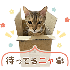 [LINEスタンプ] Bellの毎日スタンプ