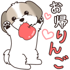[LINEスタンプ] 『シーズー』ちょこっと♡ダジャレ